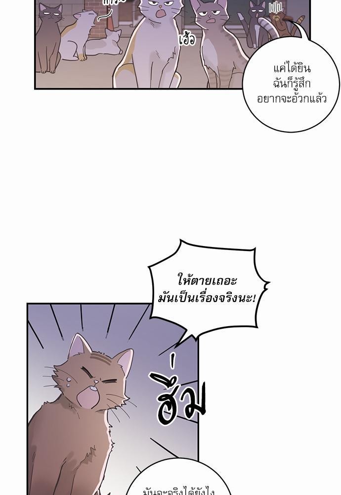 อ่านมังงะวาย