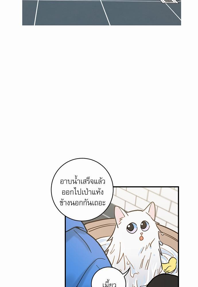 อ่านมังงะวาย