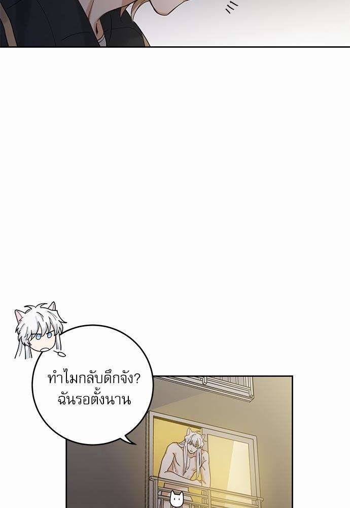 อ่านมังงะวาย