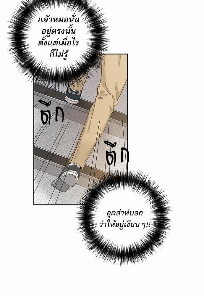 อ่านมังงะวาย