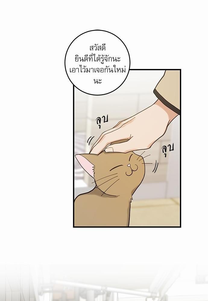 อ่านมังงะวาย