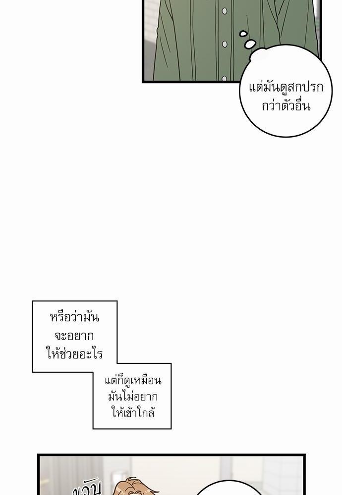 อ่านมังงะวาย