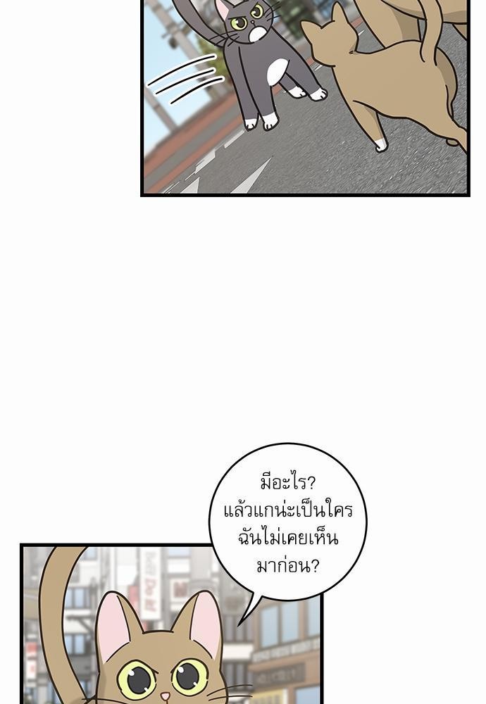 อ่านมังงะวาย