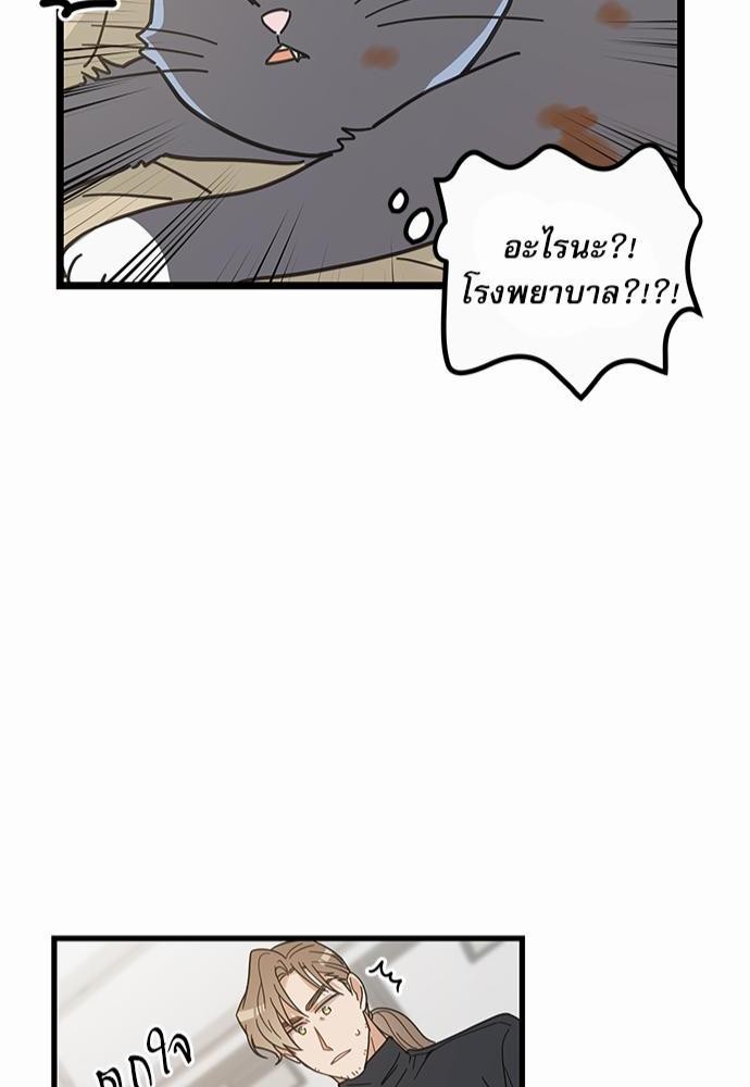 อ่านมังงะวาย