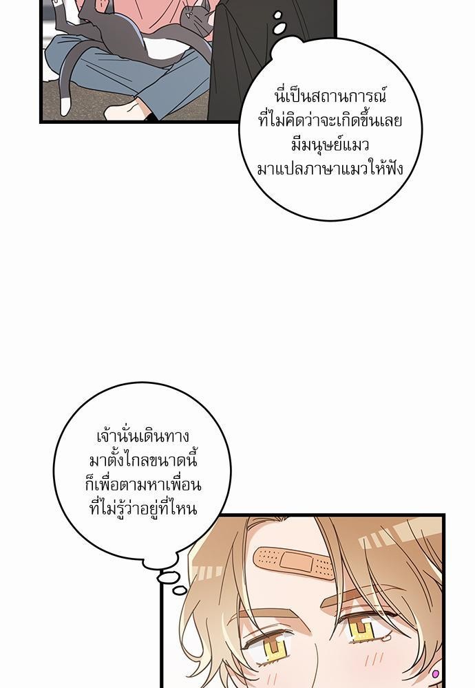 อ่านมังงะวาย