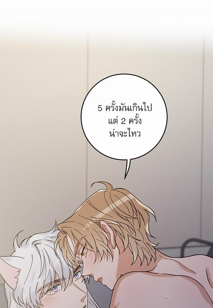 อ่านมังงะวาย