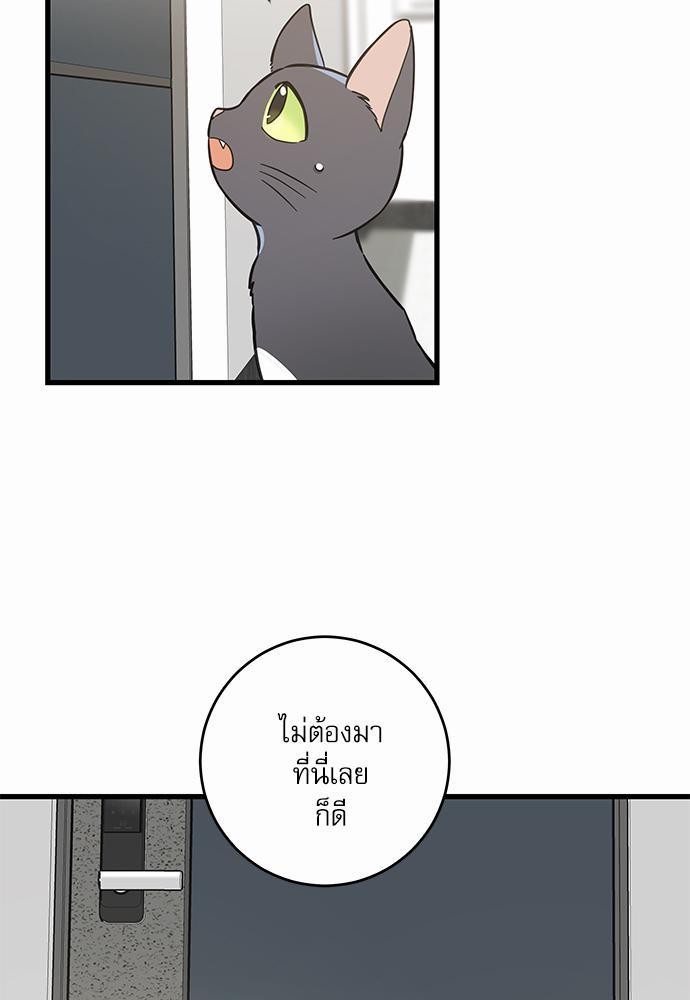 อ่านมังงะวาย